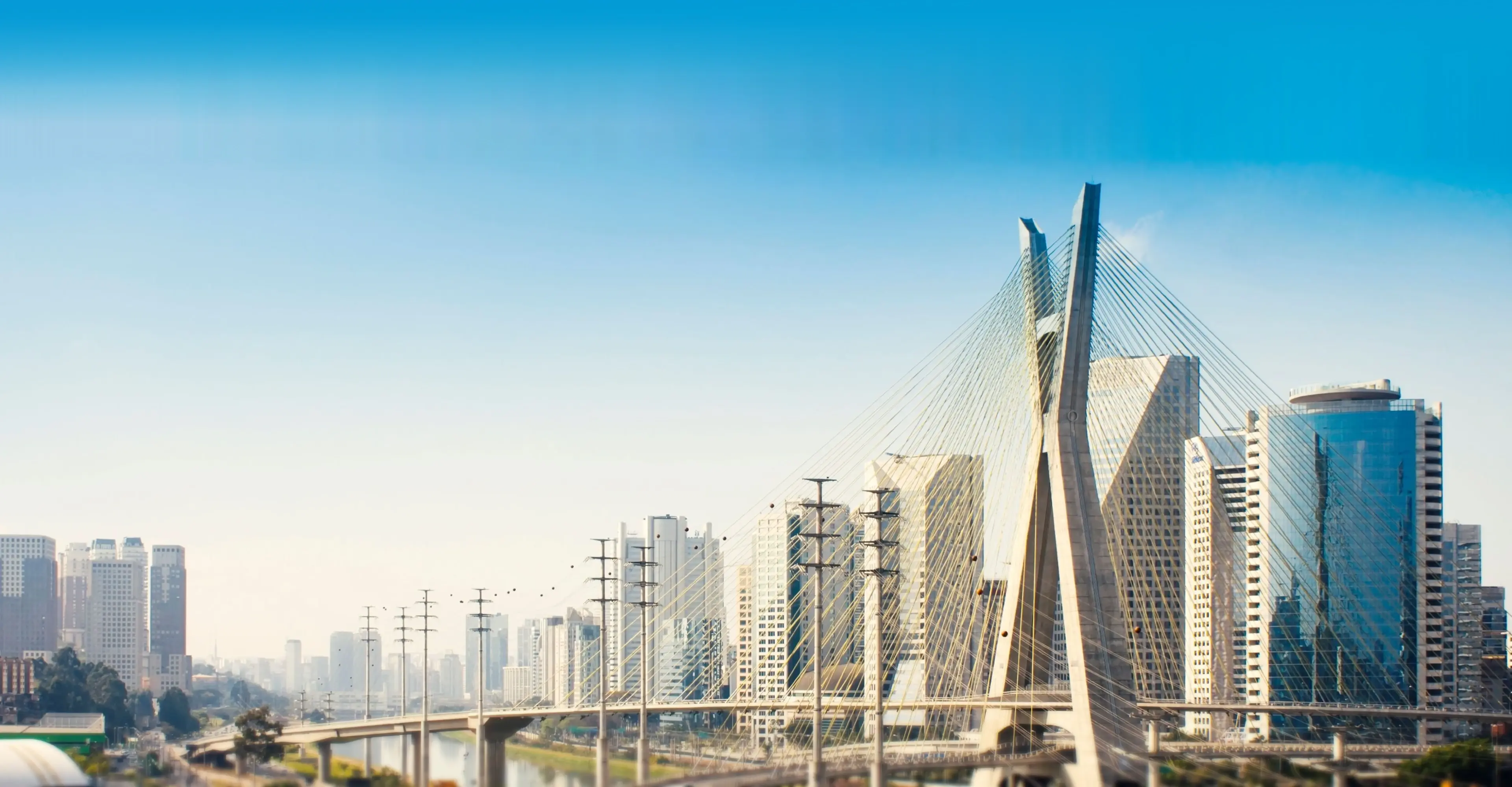 Background Illustration